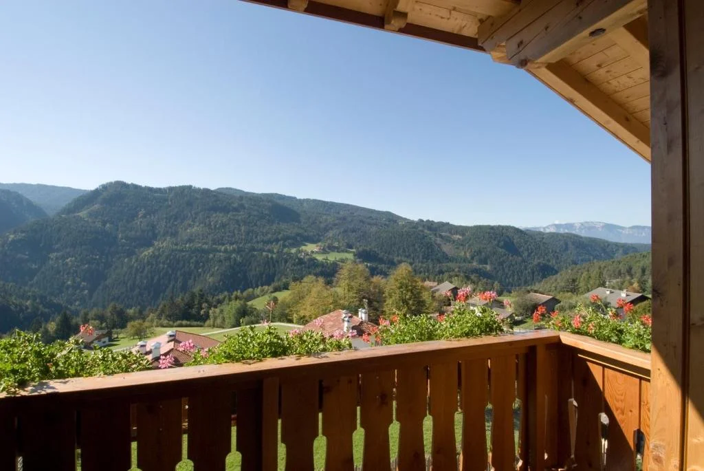 Apartment with Mountain View, Unterwirtshof
