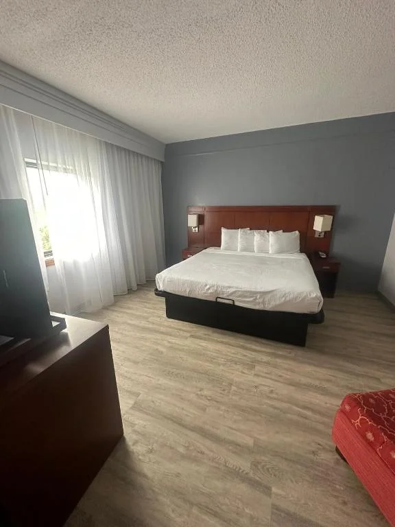 King Room with Mobility Access and Bathtub with Grab Bars, Non-Smoking, Super 8 by Wyndham Dallas Love Field Airport