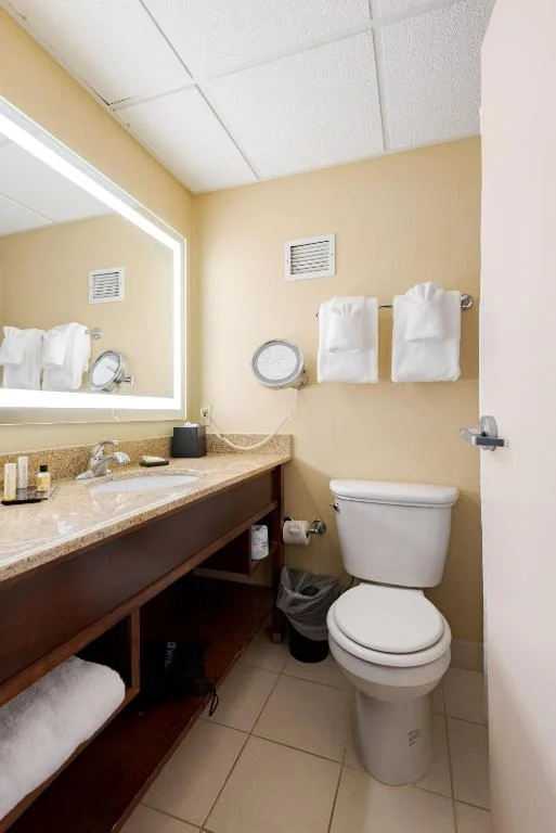 King Room - Non-Smoking, Wyndham Omaha Hotel - West Dodge
