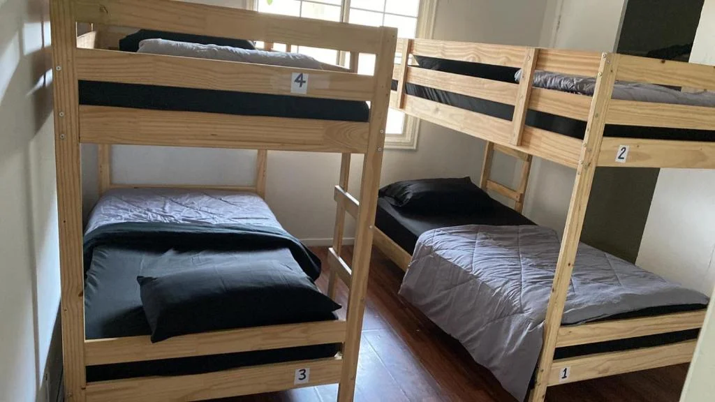 Bunk Bed in Mixed Dormitory Room, Zen Home